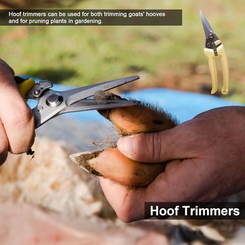 14 Inch Farrier Tools, Professional Farrier Tool Kits Horses Hoof Trimmers Suitable for Hoof Trimming for Horses Cows, Sheep, Donkeys and Other Medium Sized Animals Rasp Hoof Cutter Set in Kuwait