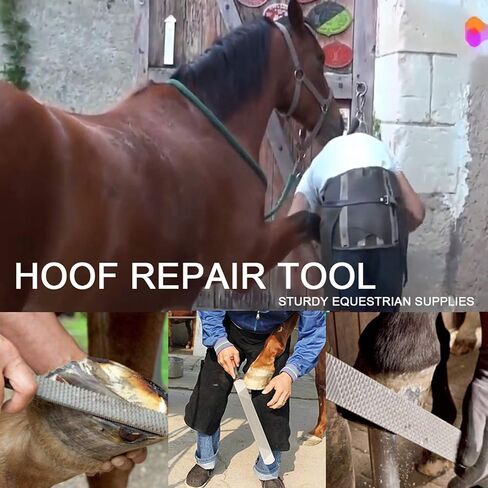 14 Inch Farrier Tools, Professional Farrier Tool Kits Horses Hoof Trimmers Suitable for Hoof Trimming for Horses Cows, Sheep, Donkeys and Other Medium Sized Animals Rasp Hoof Cutter Set in Kuwait