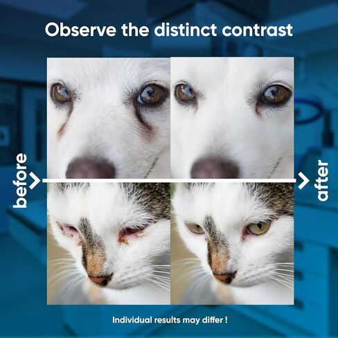 Dog Eye Drops and cat Eye Drops, pet Eye Drop,Relieve Dry Eyes Pink Eyes, Pet Tear Stain Cleaner Horses (0.98 Fl Oz) in Kuwait