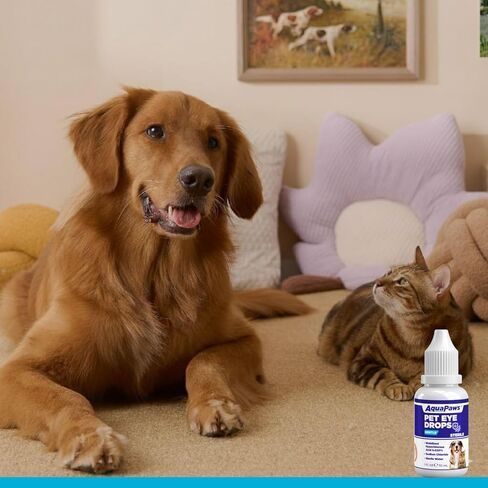 Dog Eye Drops and cat Eye Drops, pet Eye Drop,Relieve Dry Eyes Pink Eyes, Pet Tear Stain Cleaner Horses (0.98 Fl Oz) in Kuwait