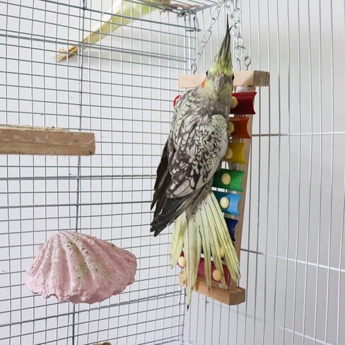 Dnoifne Colorful Bird Xylophone Toy, Suspensible Funny Xylophone Toy with 8 Metal Keys, Cage Accessories for Chicken Birds Parrots Parakeets Cockatiels Budgies Love Birds in Kuwait