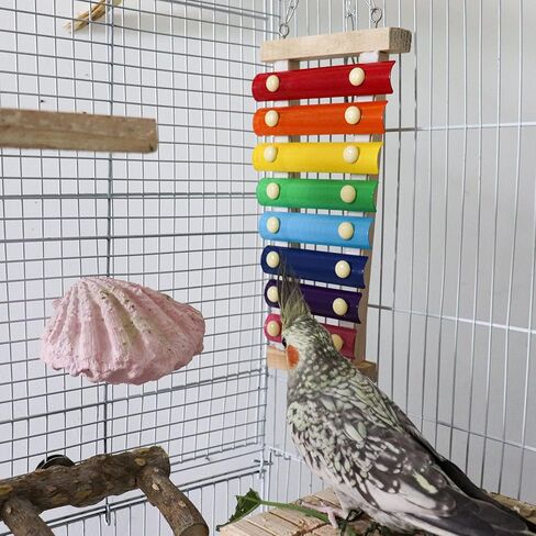 Dnoifne Colorful Bird Xylophone Toy, Suspensible Funny Xylophone Toy with 8 Metal Keys, Cage Accessories for Chicken Birds Parrots Parakeets Cockatiels Budgies Love Birds in Kuwait