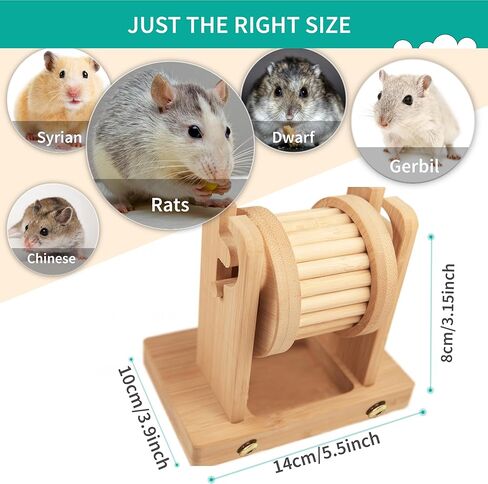Hamster Enrichment Toys - Wooden Rat Toys for Pet Rats & Mice - Interactive Foraging Puzzle Feeder for Syrian, Dwarf - Small Animal Treat Dispenser in Saudi Arabia