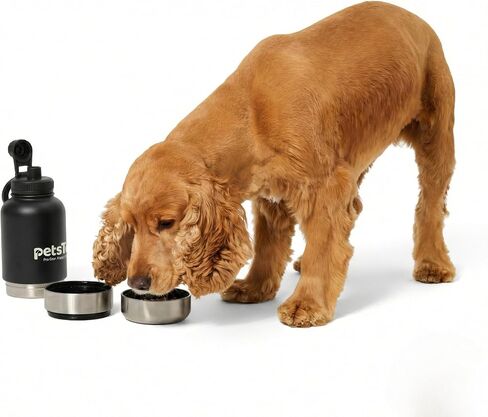 Portable Dog Water Bottle - 3 in 1 Insulated Stainless Steel Travel Bowl & Food Dispenser with Leak Proof Magnetic Lid - Dog Accessories for Walking, Hiking, Outdoor, Camping (32oz Black) in Kuwait