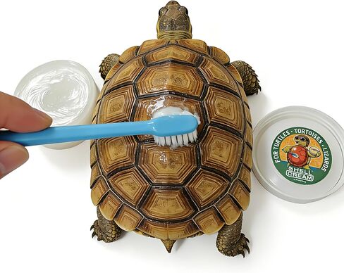 2Pcs Turtle Shell Balm, Reptile Shell Care Conditioner Moisturizer for Tortoise Lizard Reptiles, Essential Turtle Accessories, Skin Relief & Dryness Prevention for Tortoise, Lizard & All Reptiles in Kuwait