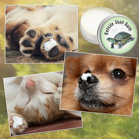 Reptile Shell Balm 2 oz Turtle Shell Care Conditioner Skin Moisturizer Cream for Tortoise Habitat Accessories, Lizard, Reptiles in Dry Environment Prevent Skin Dryness on Basking Platform, Tank, Rock in Kuwait