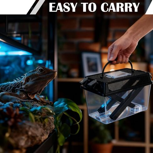 حافظة الكريكيت الكبيرة من Mifoci مجهزة بطبق تغذية الماء والطعام، وقلم الكريكيت عالي الشفافية مع أنابيب توزيع، وحافظة الحشرات لزواحف ثعبان أبو بريص in Kuwait