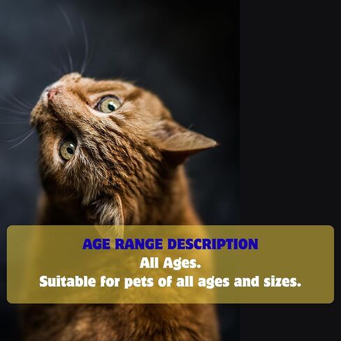 PetraVera Pet Eye Care للقطط والكلاب وجميع الحيوانات الأليفة 1/8 أونصة - 5 جم in Kuwait