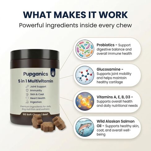 Pupganics Multivitamin Daily Soft Chews for Dogs, 5 in 1 multivitamin for Hip & Joint, Heart Health, Skin & Coat, Digestion & Immune Support, with Probiotics, Glucosamine, Vitamin A/D3/E (Beef) in Kuwait