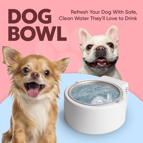 1.2L Cooling Dog Water Bowl – Plug-in Refrigerated Pet Bowl for Large, Medium, Small Dogs – Non-Slip Base, Dishwasher Safe, Keeps Water Cold for Summer Hydration in Saudi Arabia