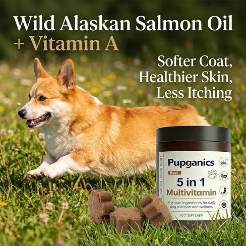 مضغ Pupganics متعدد الفيتامينات يوميًا ناعمًا، مضغ متعدد الفيتامينات لتخفيف الحكة للكلاب، فيتامينات طبيعية، جلد ومعطف صحي، الجهاز الهضمي وتعزيز المناعة، 60 مضغ (لحم البقر) in Kuwait