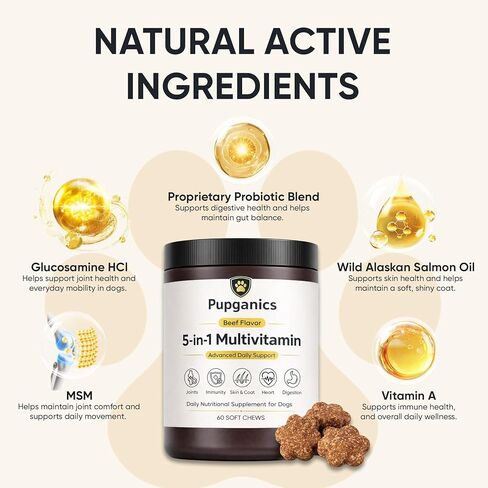 Pupganics مضغ يومي ناعم متعدد الفيتامينات للكلاب، Pupganics 5 في 1 متعدد الفيتامينات، فيتامين وبروبيوتيك للبشرة والشعر، صحة القلب، دعم المناعة، نكهة لحم البقر، 60 مضغ ناعم (1 قطعة) in Kuwait