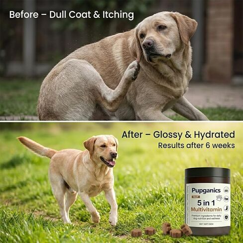 مضغ Pupganics متعدد الفيتامينات يوميًا ناعمًا، مضغ متعدد الفيتامينات لتخفيف الحكة للكلاب، فيتامينات طبيعية، جلد ومعطف صحي، الجهاز الهضمي وتعزيز المناعة، 60 مضغ (لحم البقر) in Kuwait