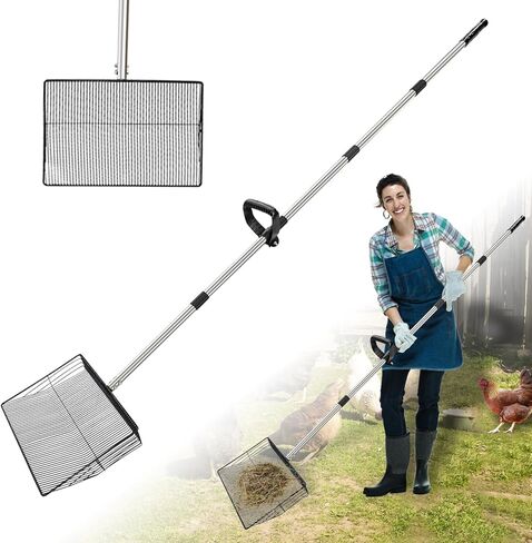 Metal Chicken Poop Scooper, 5-in-1 Detachable Chicken Coop Scoop Rake, Long Stainless Steel Handle, Chicken Litter Scoop Sifting Shovel Chicken Coop Scooper for Sand (15inch Large) in Kuwait