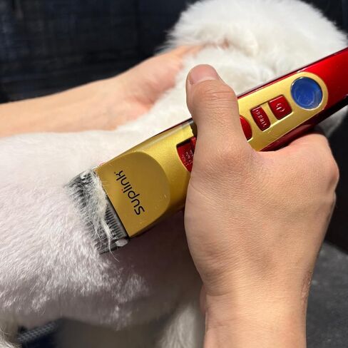 Dog Clippers for Grooming Thick Heavy Coats, Professional 2-Speed Pet Hair Trimmers, Cordless Rechargeable Dog Grooming Kit with 4 Interchangeable Stainless Steel Blades (1/3/6/9mm), Low Noise Shaver in Kuwait