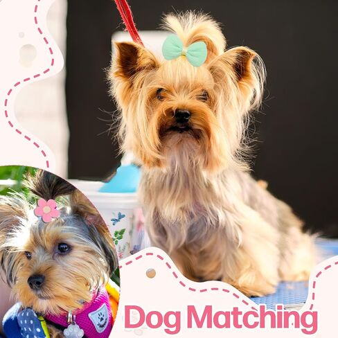 14 PCS Puppy Bows for Dogs Girls, Dog Hair Bows with Rubber Bands, Small Dog Bow Hair Ties for Yorkie Maltese Pet Cat in Kuwait