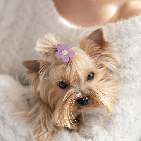 14 PCS Puppy Bows for Dogs Girls, Dog Hair Bows with Rubber Bands, Small Dog Bow Hair Ties for Yorkie Maltese Pet Cat in Kuwait