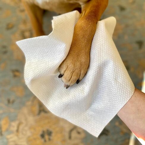 StripHair Bamboo Cloth Wipes Extra Large Reusable 12x12in for Dog Pet Horse Grooming Coat Care and All Purpose, 2 Packs /30 Count with Dispenser in Kuwait