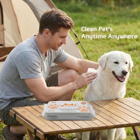Pet Grooming Wipes 50 Count, Jumbo Size 8" x 9", Lick-Safe, Alcohol-Free Deodorizing Wipes for Dogs & Cats with Sensitive Skin in Kuwait