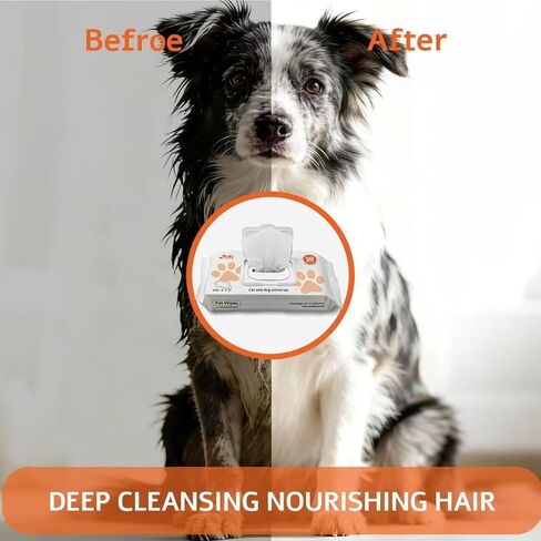 Pet Grooming Wipes 50 Count, Jumbo Size 8" x 9", Lick-Safe, Alcohol-Free Deodorizing Wipes for Dogs & Cats with Sensitive Skin in Kuwait