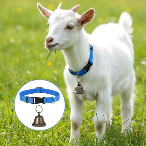 4 Pack Goat Collars with Bells, Sheep Grazing Copper Bells and Adjustable Nylon Collar Set, Loud Bronze Bell for Find Your Farm Animals Fast, Suitable for Small Farm Animal Sheep Goat Cow Accessories in Kuwait