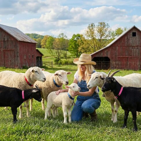 4 Pack Goat Collars with Bells, Sheep Grazing Copper Bells and Adjustable Nylon Collar Set, Loud Bronze Bell for Find Your Farm Animals Fast, Suitable for Small Farm Animal Sheep Goat Cow Accessories in Kuwait