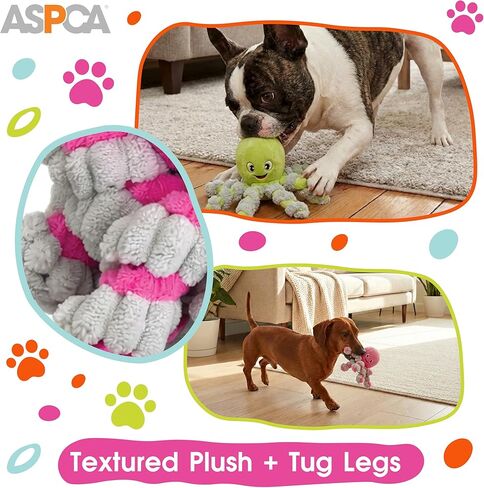 ASPCA 2-حزمة من ألعاب الأخطبوط الفخمة للكلاب مع مصدر صرير - ألعاب تفاعلية تصدر صريرًا وشدًا مع أرجل بنجي، قطيفة ناعمة محبوبة للجلب والسحب ووقت اللعب in Kuwait