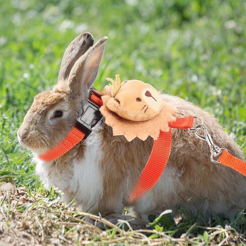 Toddmomy Small Pet Rabbit Harness Leash Set, No-Pull Soft Mesh Bunny Leash with Adjustable Strap, Lightweight Summer Traction Rope for Dwarf Rabbits and Small Animals Outdoor Walking in Kuwait