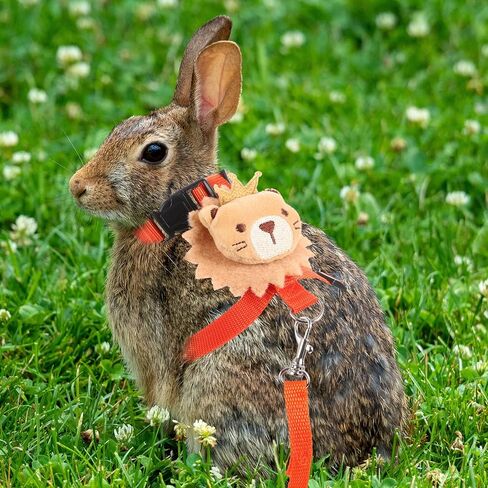 Toddmomy Small Pet Rabbit Harness Leash Set, No-Pull Soft Mesh Bunny Leash with Adjustable Strap, Lightweight Summer Traction Rope for Dwarf Rabbits and Small Animals Outdoor Walking in Kuwait