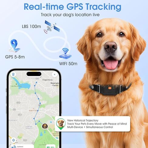 جهاز تعقب الحيوانات الأليفة بنظام تحديد المواقع العالمي (GPS) للكلاب والقطط - عضوية مجانية لمدة 12 شهرًا، تتبع في الوقت الفعلي، مراقبة صحية، تسجيل الطريق التاريخي، سياج جغرافي افتراضي، مقاومة للماء IP67، عمر بطارية يصل إلى 14 يومًا in Kuwait