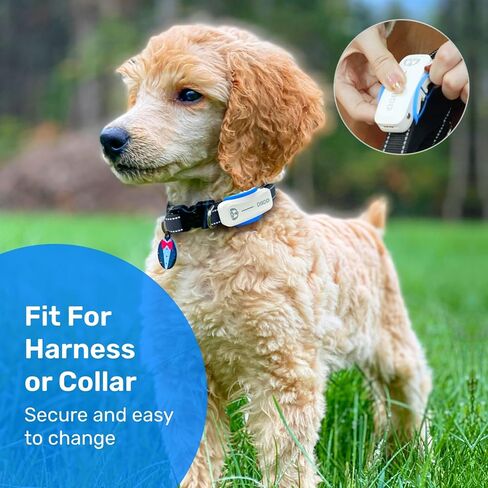 Dog GPS Tracker Rubber Clip with DBDD Dog Location Activity Tracker Replacement Rubber Attachment Clips-Pack of 4 in Kuwait