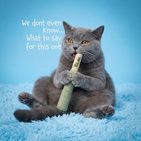 LIT LABS Cat Doobie 3 عبوات من ألعاب النعناع البري للقطط، ألعاب القطط المضحكة، ألعاب المضغ والركل الآمنة للقطط الصغيرة، هدايا تخفيف التوتر للقطط الداخلية التي تصيب مختلفًا in Kuwait