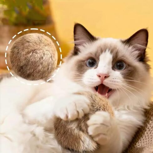 3pcs Rabbit Fur Ball Cat Toy, Soft Fur Fluffy Catnip Toy Ball, Fluffy Catnip Toy Ball, Washable, Chasing Fun, Kickball and Games, Suitable for Indoor Sports in Kuwait