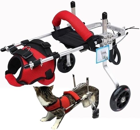 Dog Wheelchair for Disabled Dogs 2-Wheel Cat Wheelchair Lightweight Aluminium Rehab Cart Indoor/Outdoor Use | Size Guide for Kitten, Little Cat & Big Cat in Kuwait
