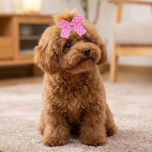 Mabor 10PCS Pink Dog Bows for Ears, Puppy Hair Bows with Elastic Rubber Bands, Cute Bowknot Pet Hair Accessories for Small Dogs Cats in Kuwait