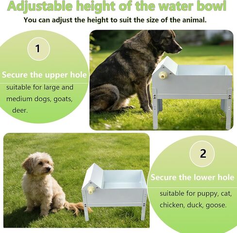 Automatic Dog Water Bowl Dispenser 6.5 Liter Self Refilling Water Bowl for Cat Dog Poultry Auto Fill Waterer with Float Valve Outdoor Indoor Pet Drinking Trough Fit GHT 3/4" Faucet in Kuwait