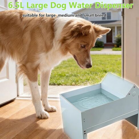 Automatic Dog Water Bowl Dispenser 6.5 Liter Self Refilling Water Bowl for Cat Dog Poultry Auto Fill Waterer with Float Valve Outdoor Indoor Pet Drinking Trough Fit GHT 3/4" Faucet in Kuwait