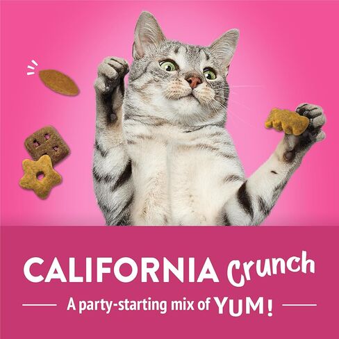 Purina Friskies Party Mix California Crunch with Chicken and Flavors of Turkey and Bacon Cat Treats - 20 oz Canister in Kuwait