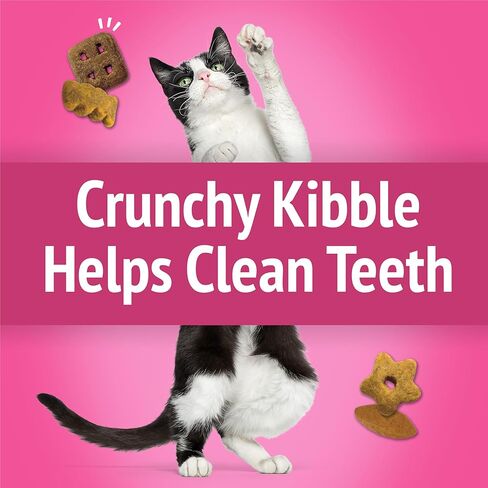 Purina Friskies Party Mix California Crunch with Chicken and Flavors of Turkey and Bacon Cat Treats - 20 oz Canister in Kuwait