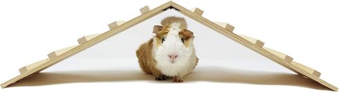 Wood Bridge for Small Animal Cage or Habitat - Guinea Pigs, Ferrets, Chinchillas, Hedgehog, Dwarf Rabbits and Other Small Animals in Kuwait