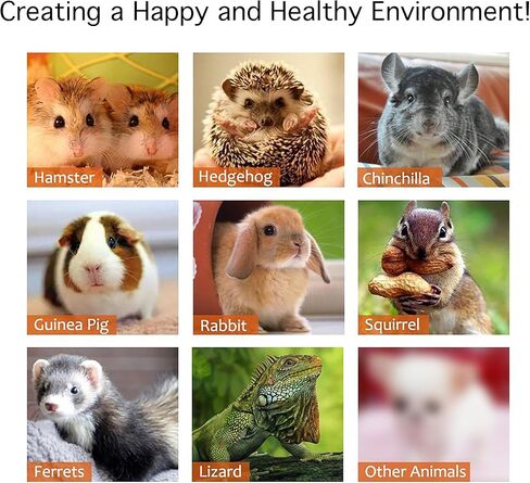 Wood Bridge for Small Animal Cage or Habitat - Guinea Pigs, Ferrets, Chinchillas, Hedgehog, Dwarf Rabbits and Other Small Animals in Kuwait