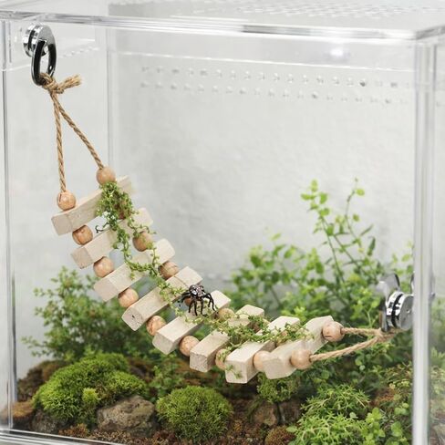 Jumping Spider Enclosure Accessories Magnetic Jumping Spider Rope Bridge with Artificial Moss Handmade Rectangular Solid Wood Suspension Bridge (Natural Wood Color) in Kuwait