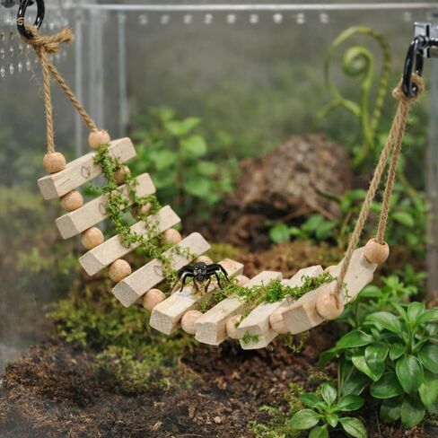 Jumping Spider Enclosure Accessories Magnetic Jumping Spider Rope Bridge with Artificial Moss Handmade Rectangular Solid Wood Suspension Bridge (Natural Wood Color) in Kuwait