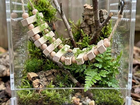 Jumping Spider Enclosure Accessories Magnetic Jumping Spider Rope Bridge with Artificial Moss Handmade Rectangular Solid Wood Suspension Bridge (Natural Wood Color) in Kuwait