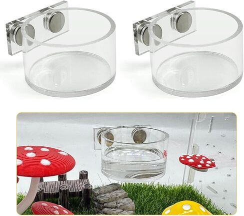 2 Pcs Jumping Spider Feeding Dish, Magnetic Water Bowl, Jumping Spider Enclosure Accessories in Kuwait