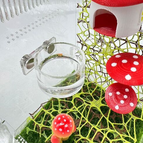 2 Pcs Jumping Spider Feeding Dish, Magnetic Water Bowl, Jumping Spider Enclosure Accessories in Kuwait