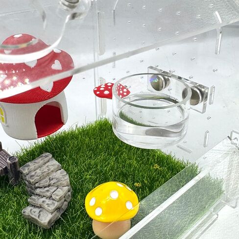 2 Pcs Jumping Spider Feeding Dish, Magnetic Water Bowl, Jumping Spider Enclosure Accessories in Kuwait