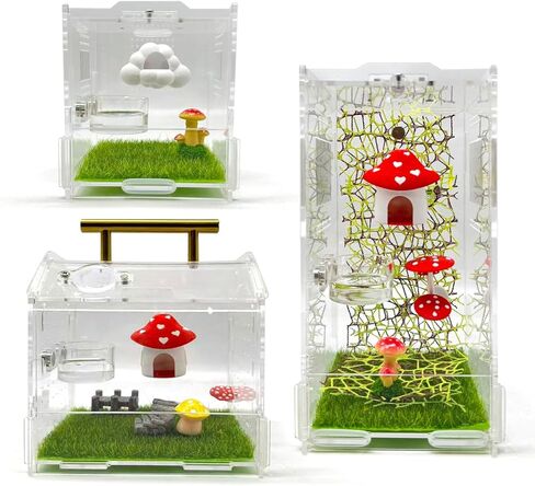2 Pcs Jumping Spider Feeding Dish, Magnetic Water Bowl, Jumping Spider Enclosure Accessories in Kuwait