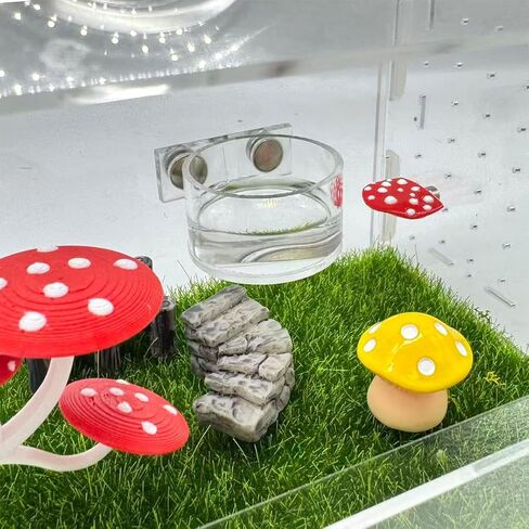 2 Pcs Jumping Spider Feeding Dish, Magnetic Water Bowl, Jumping Spider Enclosure Accessories in Kuwait