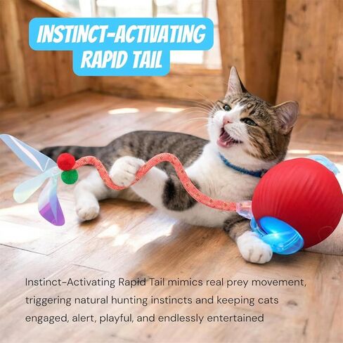 New Upgraded Red Cat Ball Toy, Speedy Tail 2.0 Cat Toy, Interactive Cat Toy Ball, Stimulating Toys and Juguetes para Gatos, Cat Toys for Indoor Cats, Interactive Dog Toys with Two Tails, (RED) in Kuwait
